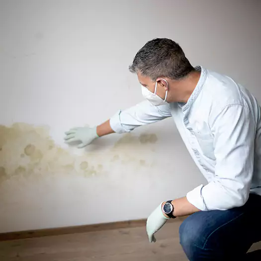 A Lufkin, TX home protected by professional Mold Testing from Elk Mold Pros