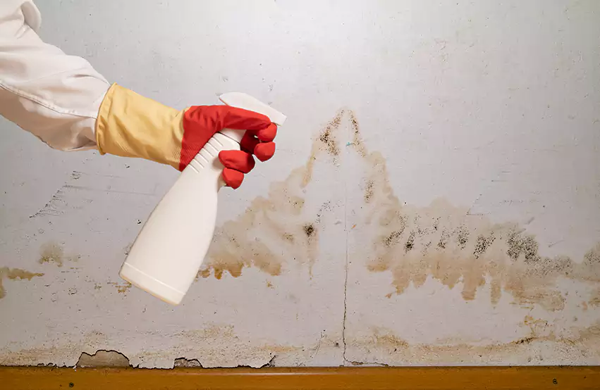 Mold prevention Lufkin TX