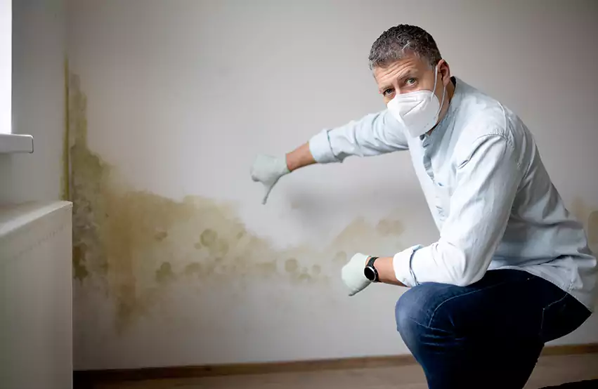 Mold remediation in Lufkin, TX